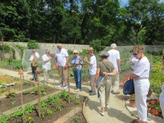 Visite de la Confrérie du Sucre d'Orge de Moret.
